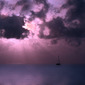 Purple Haze