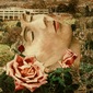 Girl & Roses