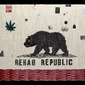 REHAB REPUBLIC