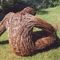 Stuart J Thompson