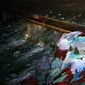 Death of a Young Man