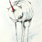 The Unicorn