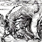 Trippin Over Tox Evoluttion