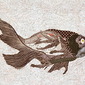 Black Fish