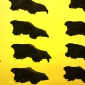 Wolf Skulls