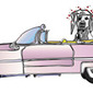 Cadillac Cherry Dog