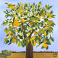 Nine Parrots in Orange Tree