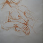 Life Study