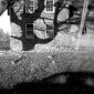 Shadows