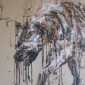 Hyena Walking