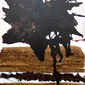 Joe Tymkow