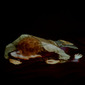 Dawn Woolley