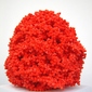 cabletied (red)