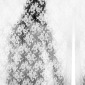 Delicate violence series  I ( Opening curtains)