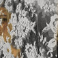 Delicate Violence (staring through) 2011
