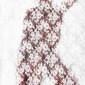 Delicate Violence  2011  