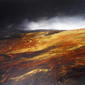 Ann Pollard