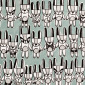 The habits of rabbits