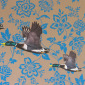 Flock