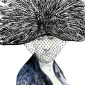 Peacock that never loses its feathers
