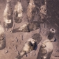 THE SNEEZE OF MORANDI 