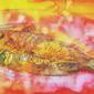 Fish on a Dish