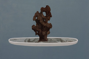 Shuai Fu