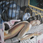 The Lilith Gallery