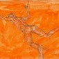 the icarus project