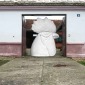 A Guard Rooster