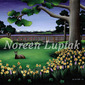 Noreen Luptak