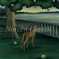 Noreen Luptak