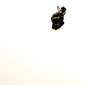 The Fall 