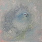 Anaglypta-tit