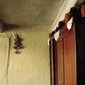 From the series 