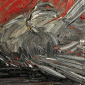 Pigeon on the road