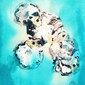 Tora Fugu's at forty fathoms