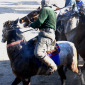 41 Horse game