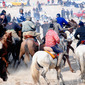 Buzkashi Horse Game
