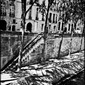  Tree Shadows,  Ile de la Cite