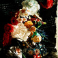 dark still life