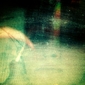 Dust in transition