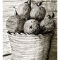 Fruit