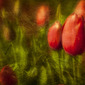 Renewal