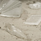 Sandbox