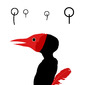 L'Oiseau de feu