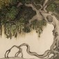 Willow Tree