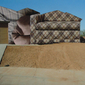 dirtlawn