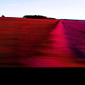 red landscape 2