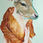 Biche rousse